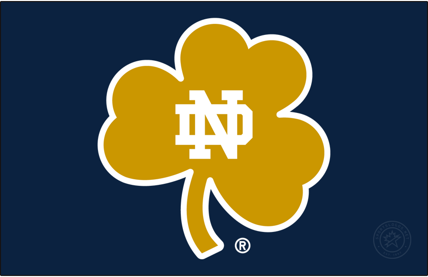 Notre Dame Fighting Irish 2015-Pres Secondary Logo diy iron on heat transfer